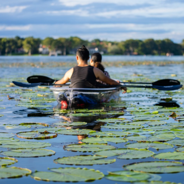 a group of people swimming in a body of water