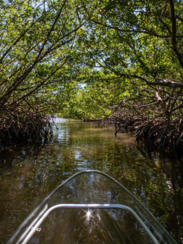 a car parked on the side of a river