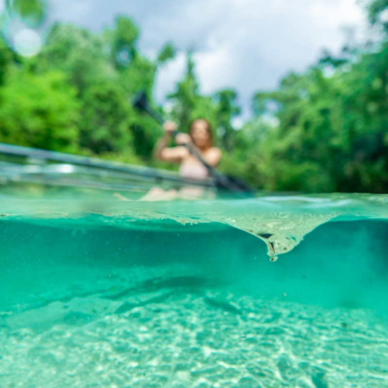 a fish swimming under water