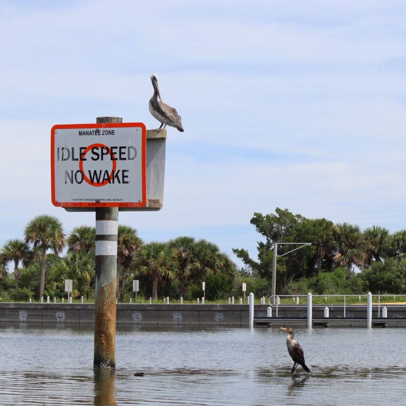 a sign on the side of a river