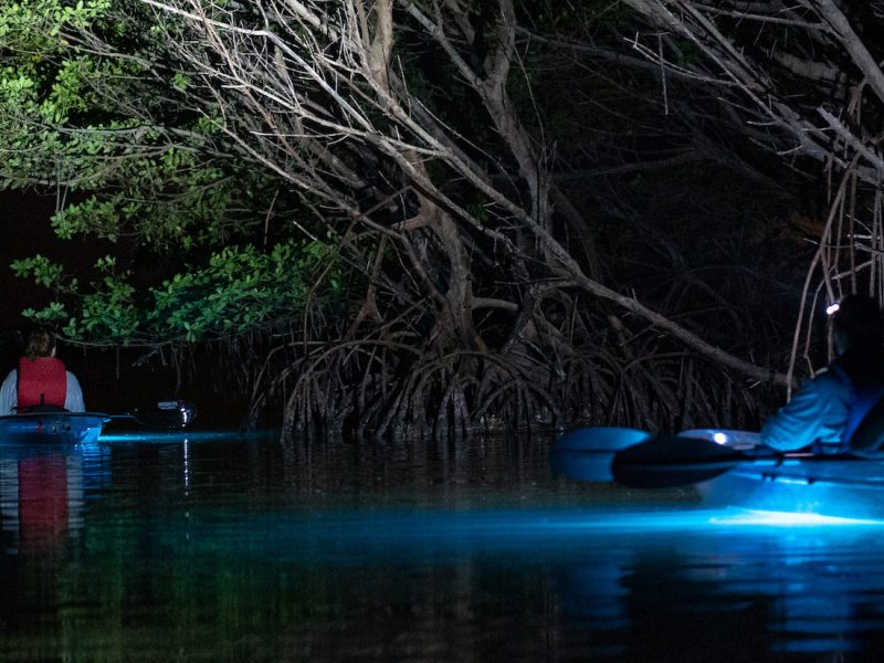 a small boat in a body of water