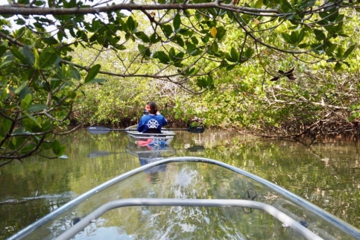 a person riding on top of a river