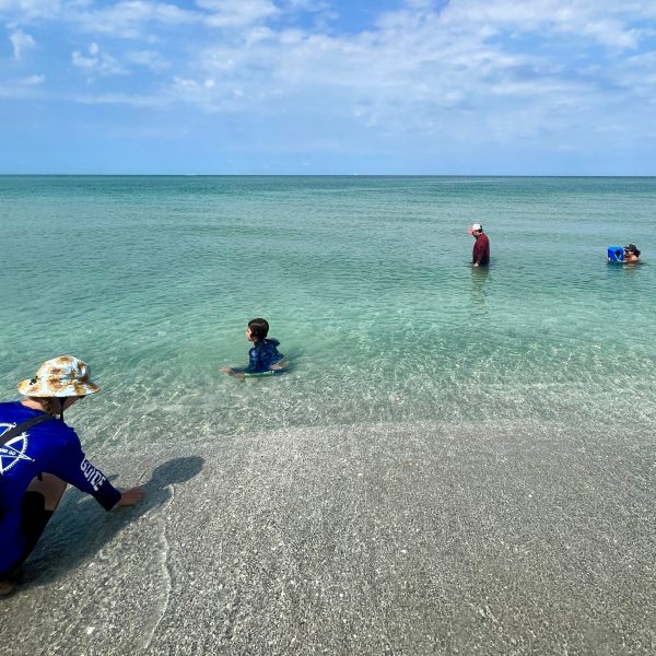 a group of people on a beach near a body of water