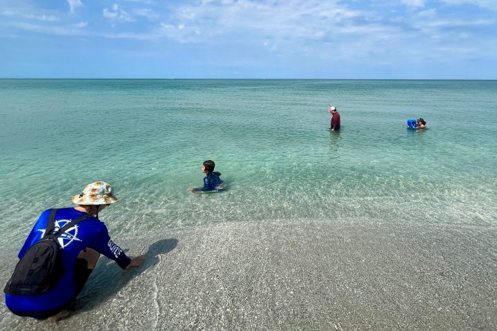 a group of people on a beach near a body of water