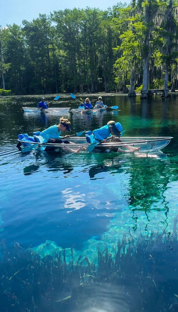 People kayaking on clear water with greenery.
