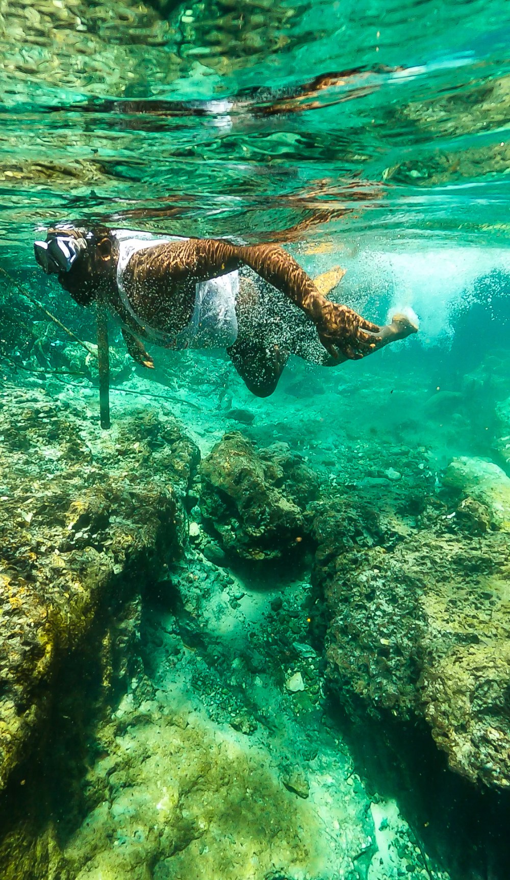 Person snorkeling over coral reef in clear turquoise water.