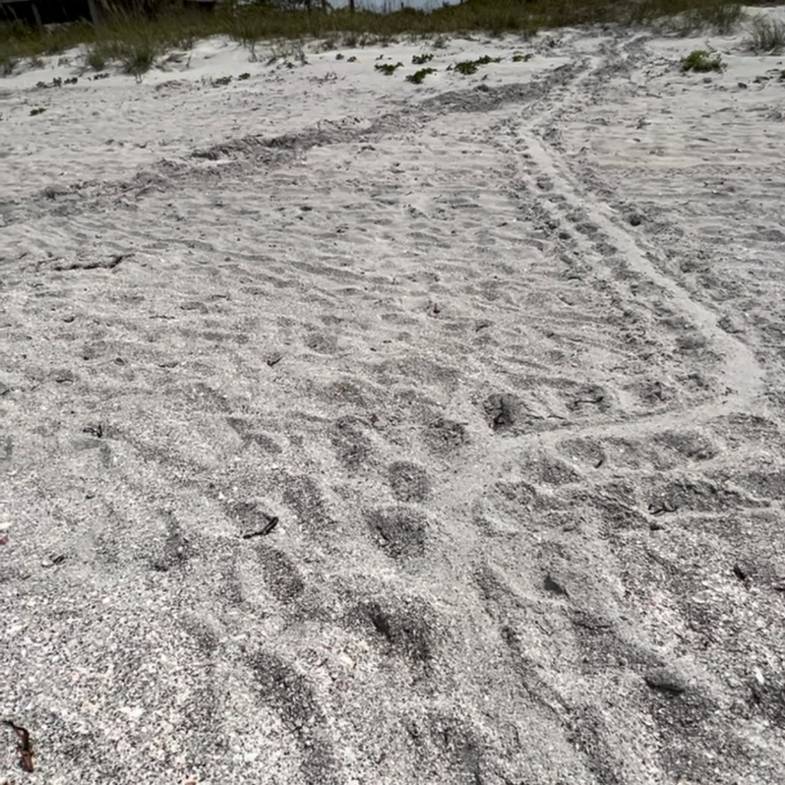 a group of people walking down a dirt road