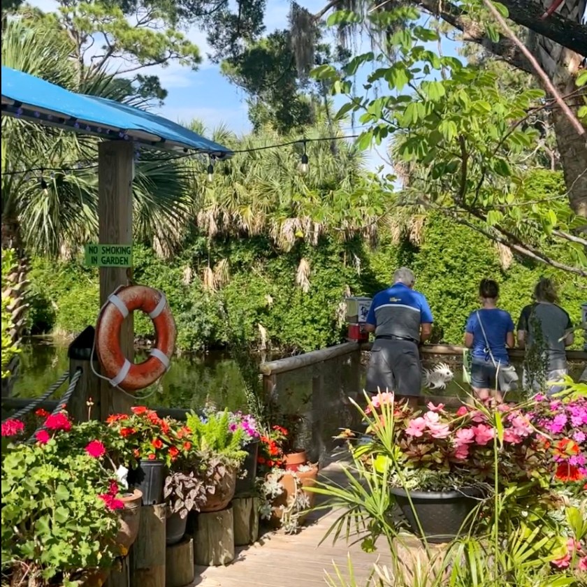 a group of people in a garden