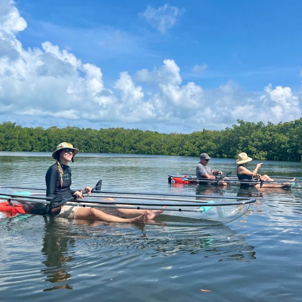 a group of people rowing a boat in a body of water