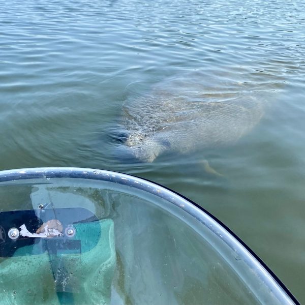 a person swimming in the water