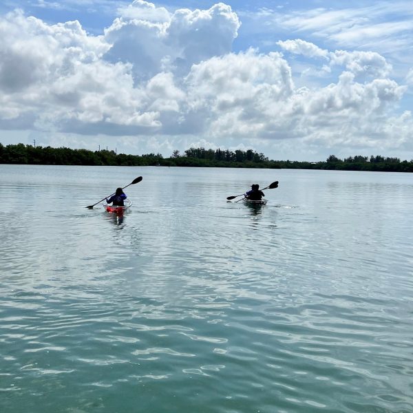 a group of people riding skis on a body of water