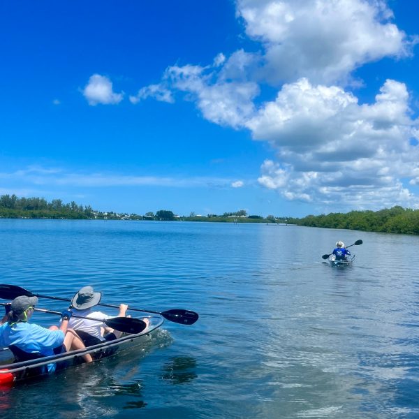 a group of people rowing a boat in a body of water