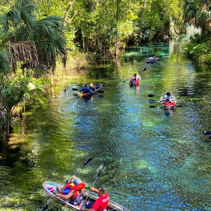 a group of people riding on the back of a boat on a river