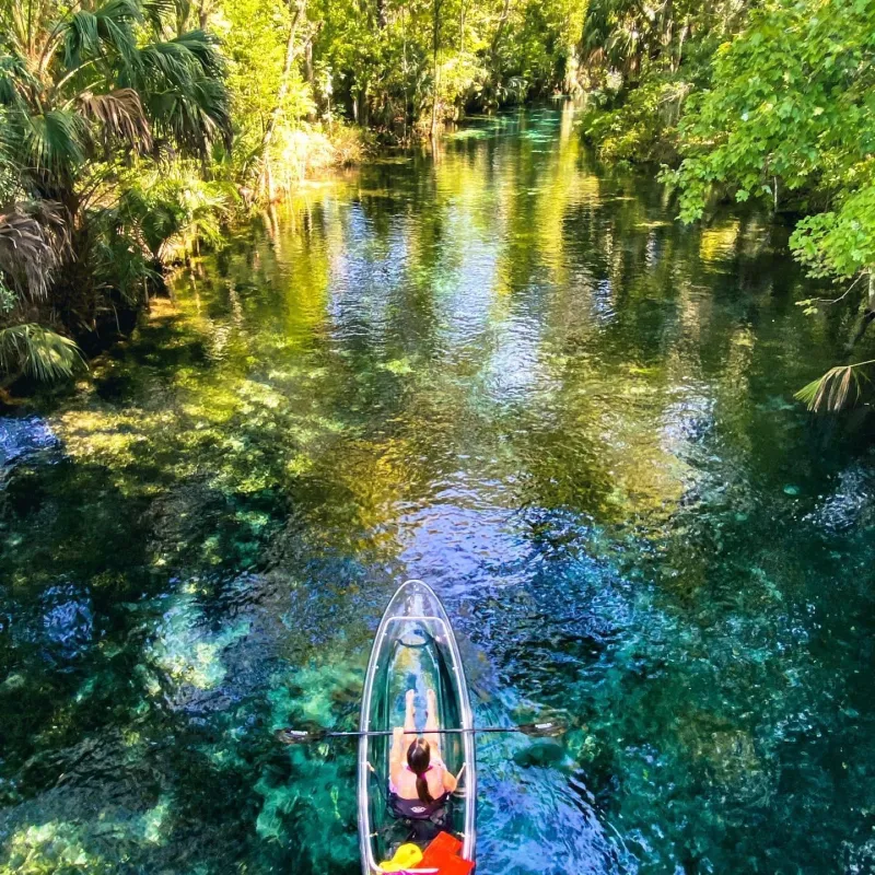 a close up of a pond
