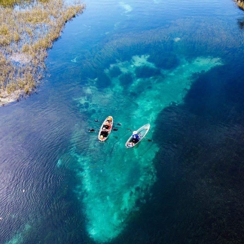 a person swimming in the water