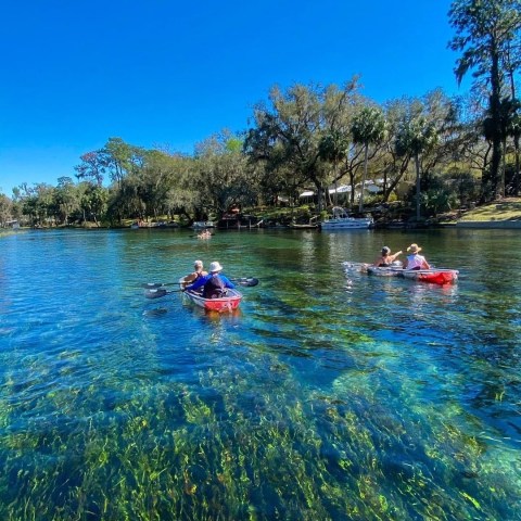 a group of people swimming in a body of water