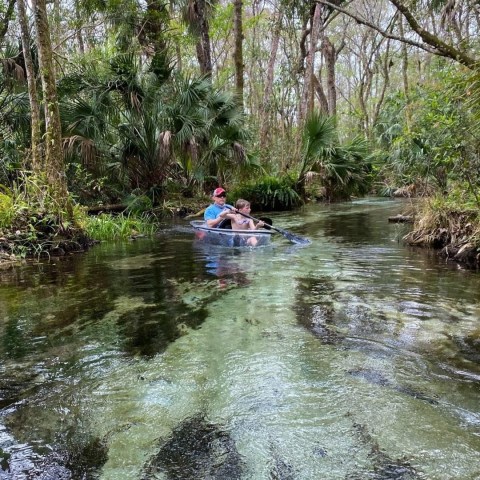 a group of people riding on top of a river