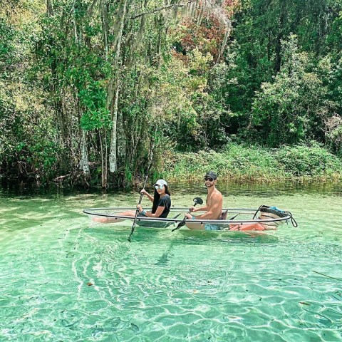 a group of people swimming in a pool of water