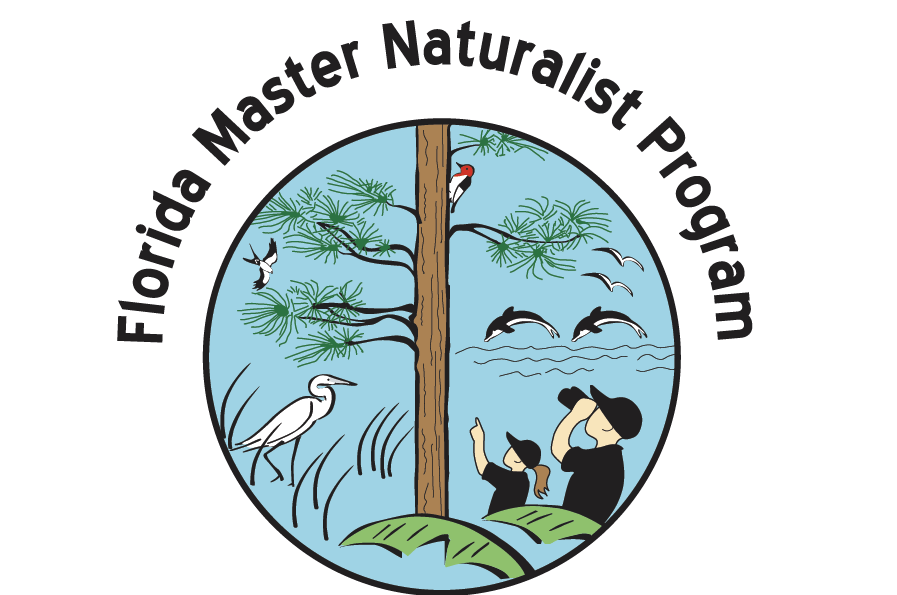 a close up of a book