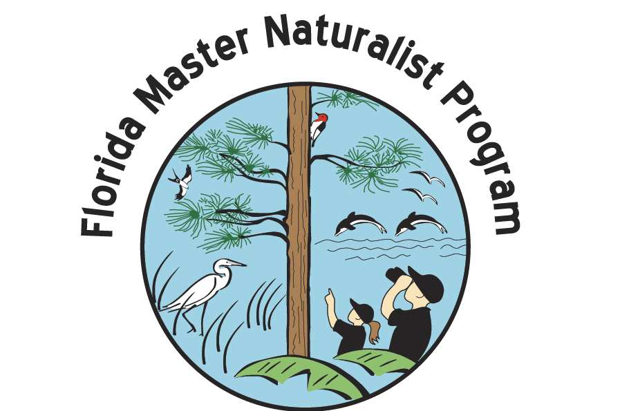 a close up of a book