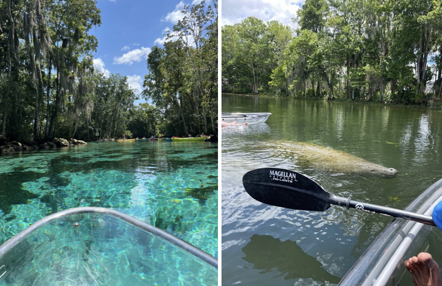 a person in a pool of water