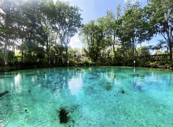 a pool next to a body of water