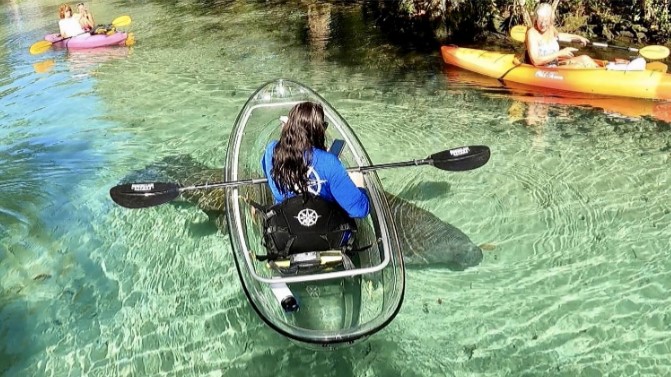 a group of people swimming in a body of water