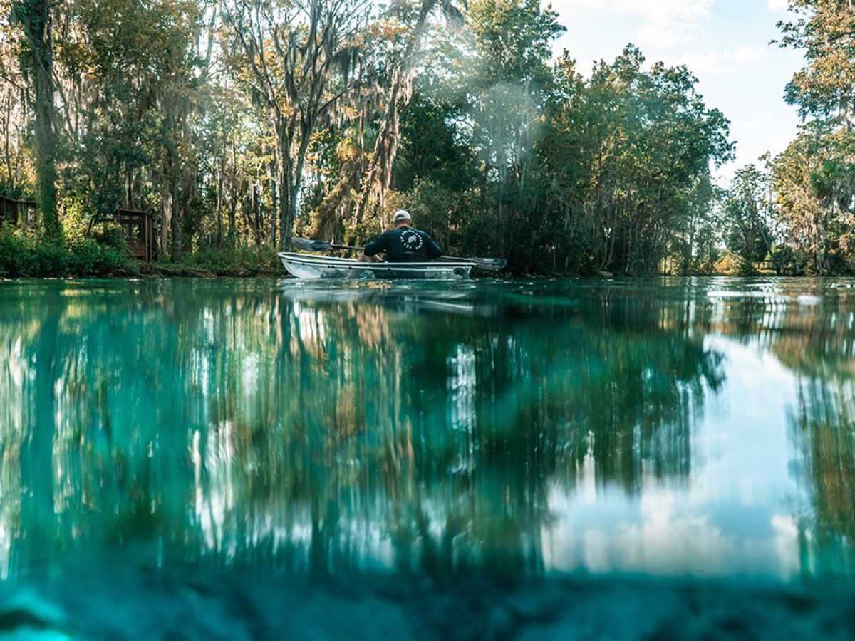 a body of water surrounded by trees