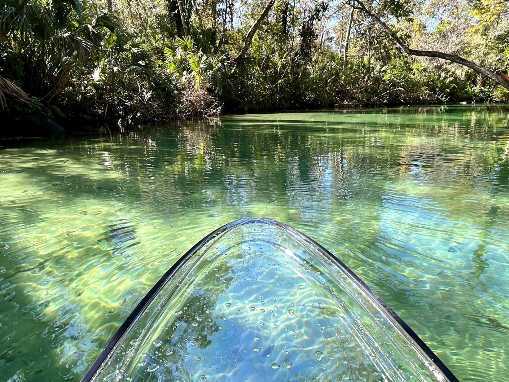 a body of water surrounded by trees