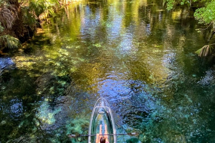 a body of water surrounded by trees