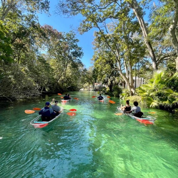 Get Up and Go Kayaking | Top Rated Guided Clear Kayak Tours