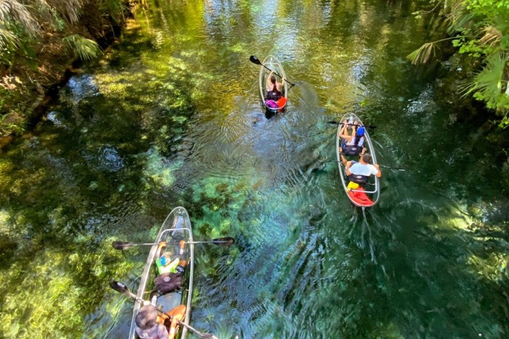 a group of people riding skis on a lake