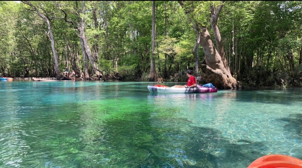a group of people in a pool of water