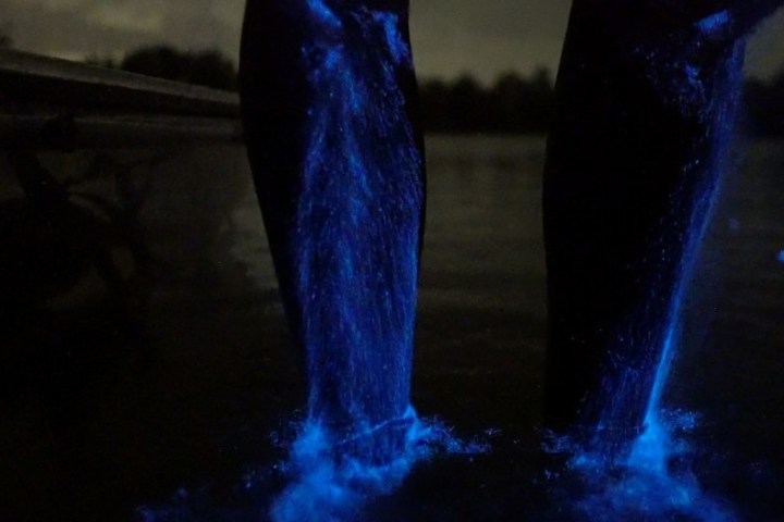 a blurry image in a dark room