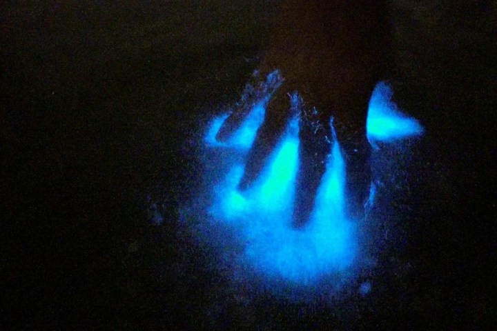 a traffic light is lit up at night