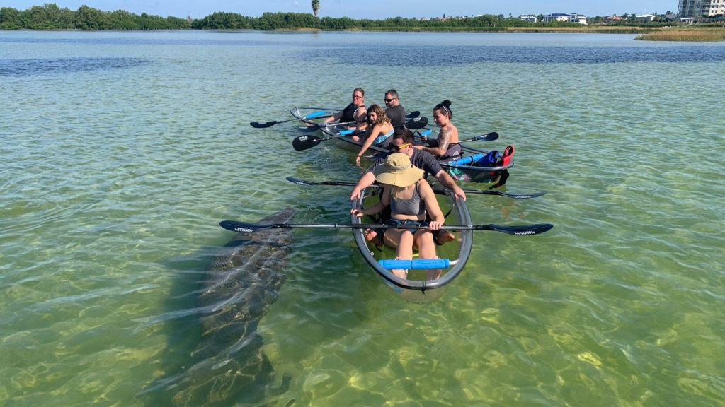 a group of people riding on the back of a boat in the water
