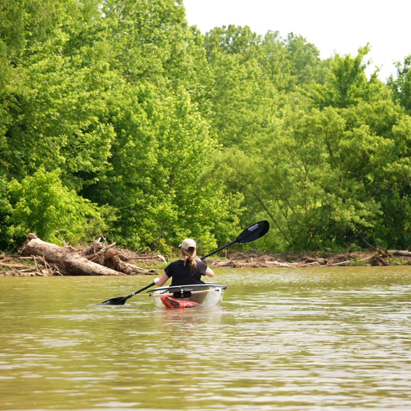 a group of people rowing a boat in the water