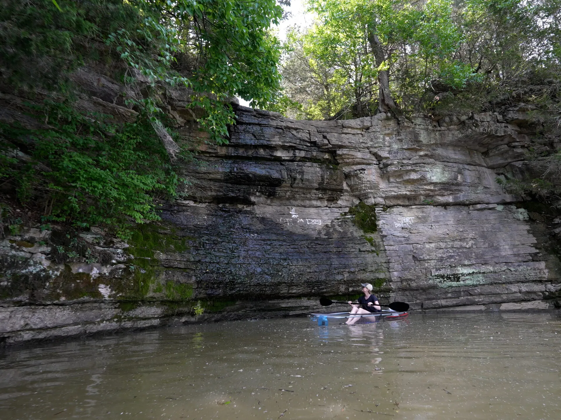 a group of people swimming in a body of water
