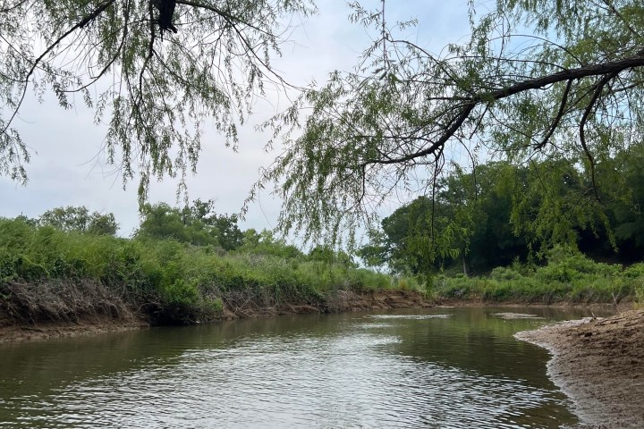 a body of water surrounded by trees