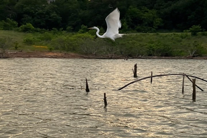 a group of people standing next to a body of water