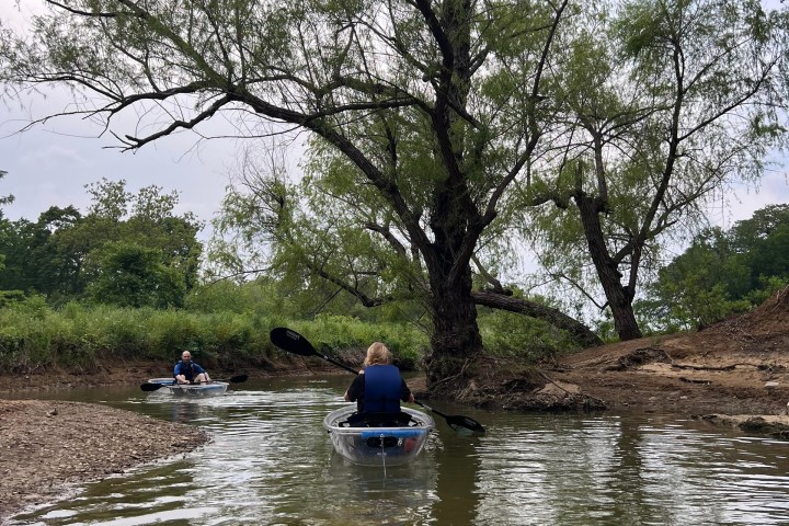 a group of people in a body of water surrounded by trees