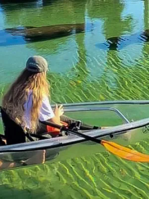 a person rowing a boat in the water