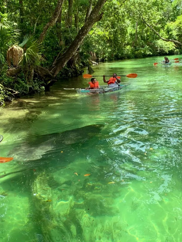 a group of people riding on the back of a boat in the water