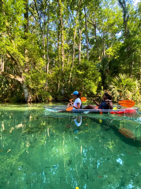 a man riding on the back of a boat next to a tree