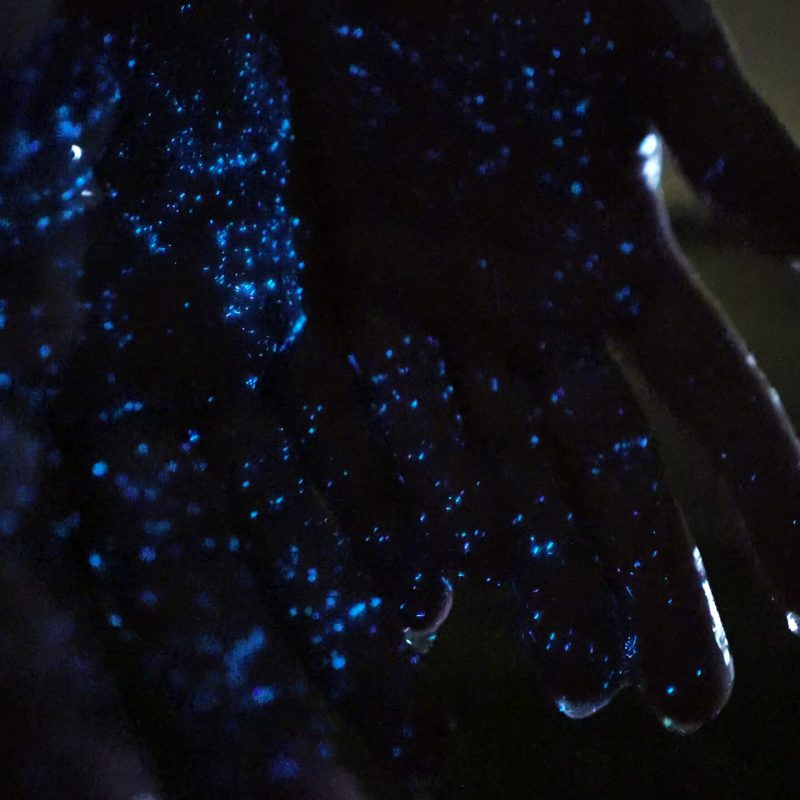 a close up of a screen