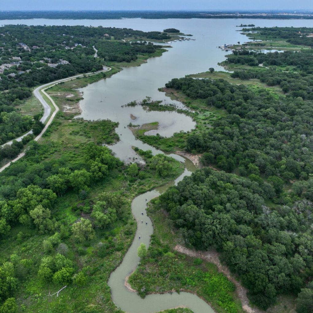 a close up of a hillside next to a body of water
