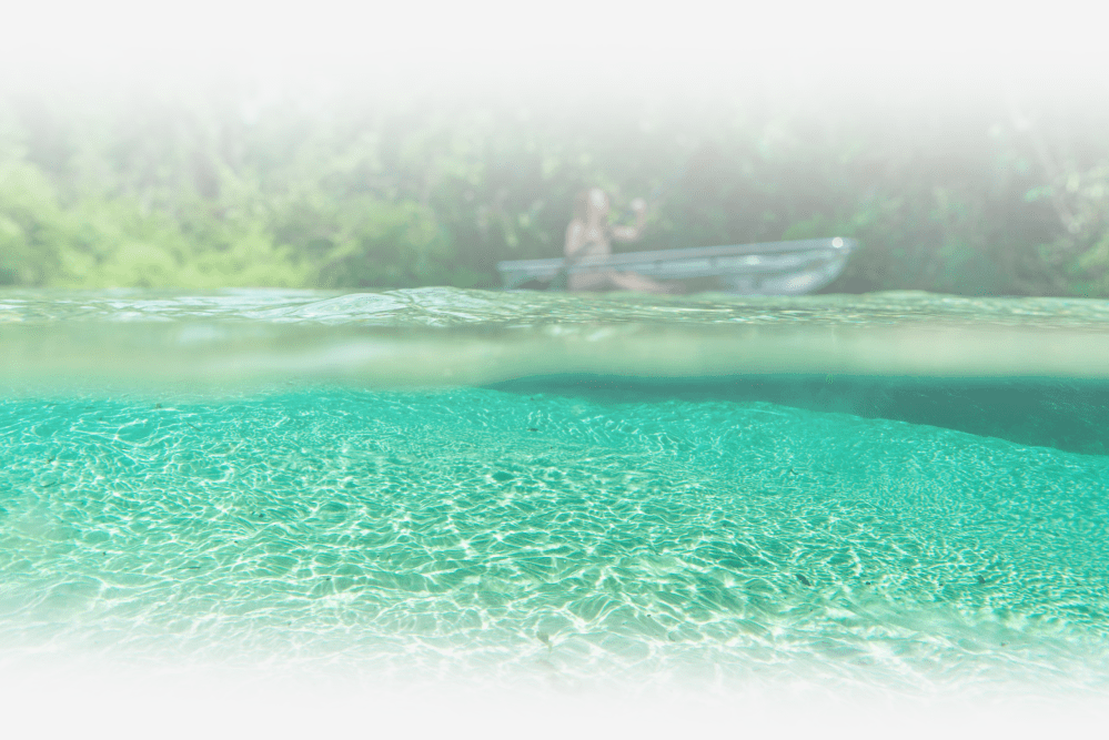 a flock of seagulls are swimming in a body of water