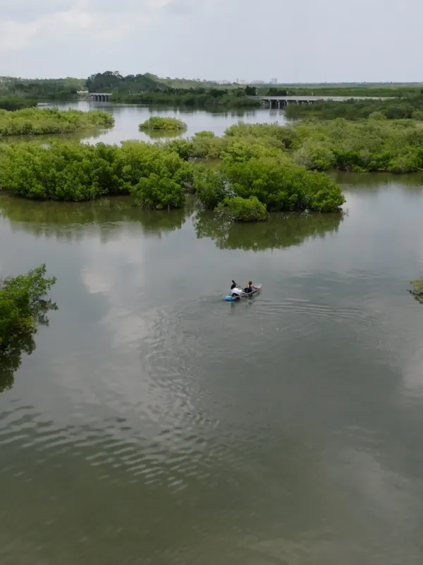 a body of water surrounded by trees