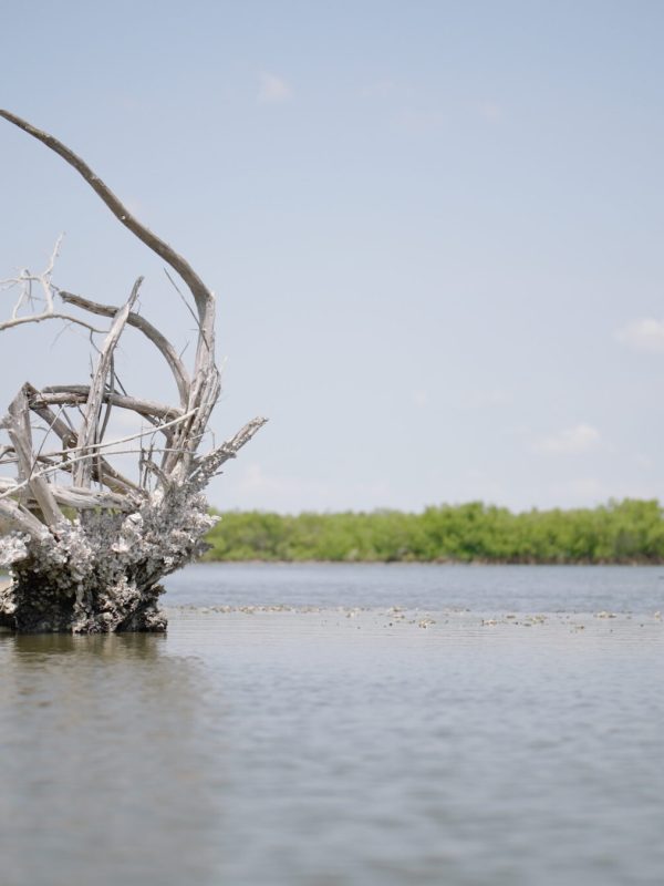 a small boat in a body of water