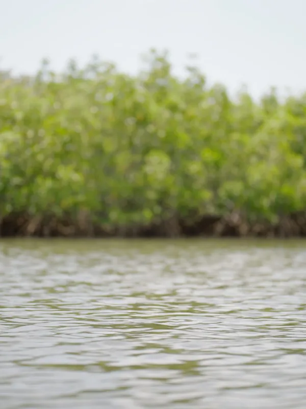 a man riding on the back of a boat in a body of water